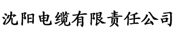 新大明帝国之崛起电缆厂logo